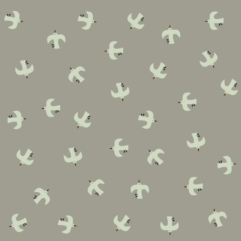 B003